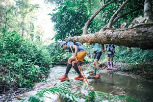 BIB: 
                            <button type="button" onclick="openModal(25442747)" class="btn btn-primary btn-sm float-right btn-popup" data-toggle="modal" data-target=".modal-high-quality">
                        <i class="fas fa-shopping-cart"></i> Add to Cart
                    </button>
                                            <button type="button" onclick="isThisMe(25442747, true)" class="btn btn-success btn-sm float-right btn-popup btn-isme hidden" data-toggle="tooltip" data-placement="bottom" title="นี่คือรูปของคุณใช่ไหม คลิกที่นี่เพื่อเอาเข้าอัลบั้ม">
                        <i class="fas fa-plus"></i> Add to album
                    </button>
                    <button type="button" onclick="isThisMe(25442747, false)" class="btn btn-warning btn-sm float-right btn-popup btn-isnotme hidden">
                        <i class="fas fa-ban"></i> Remove from album
                    </button>